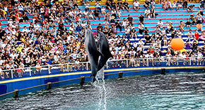北戴河樂島海洋公園-老龍頭2日游