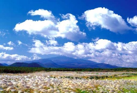海南國際旅游島有望成為下一個巴厘島