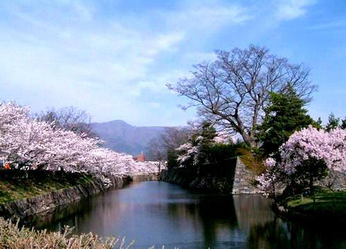 點(diǎn)擊圖片進(jìn)入下一頁(yè) 蜜月旅行