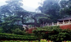 京西門頭溝珍珠湖-戒臺寺2日游